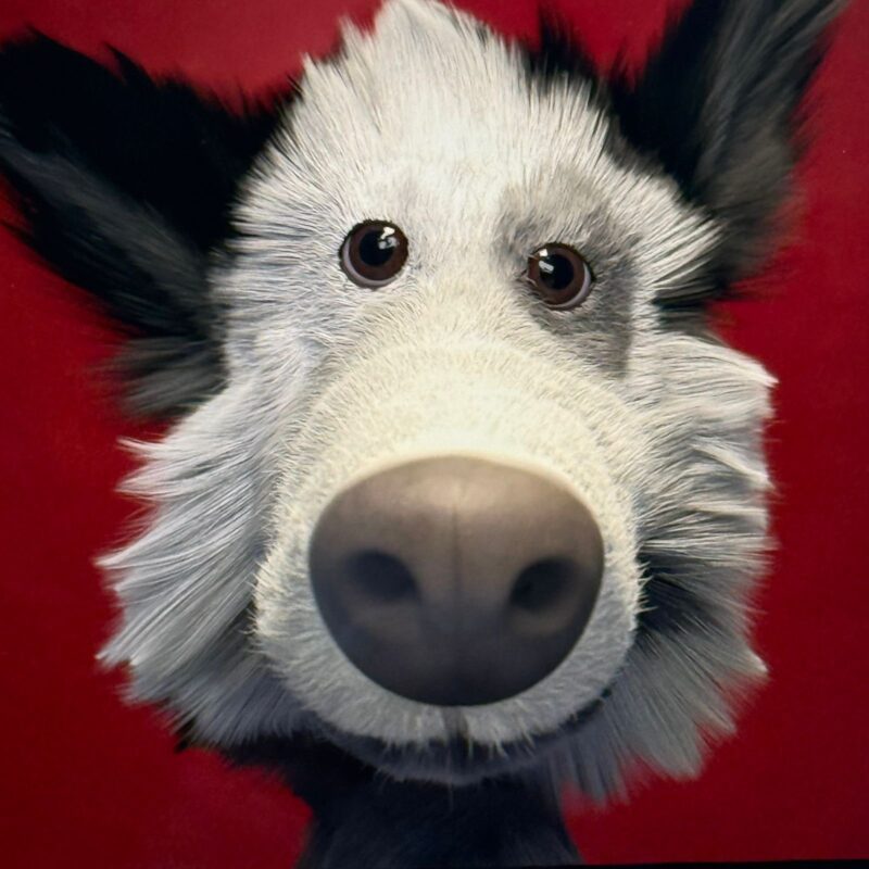 MACBOOK AIR 2020 – Image 3