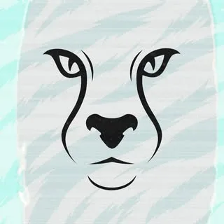 nmar.ma